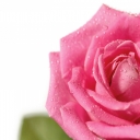 طراحی جلد - 1 - undefined